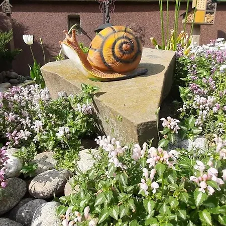 Zielony Domek