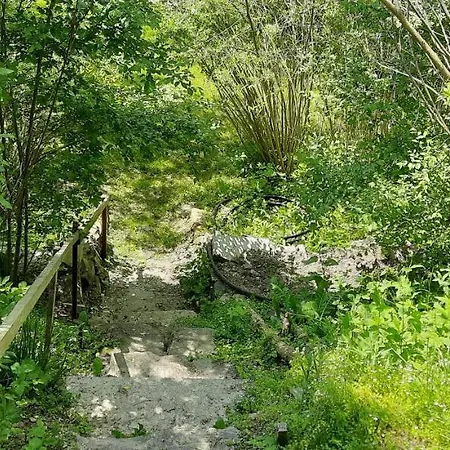 Zielony Domek * Tylicz